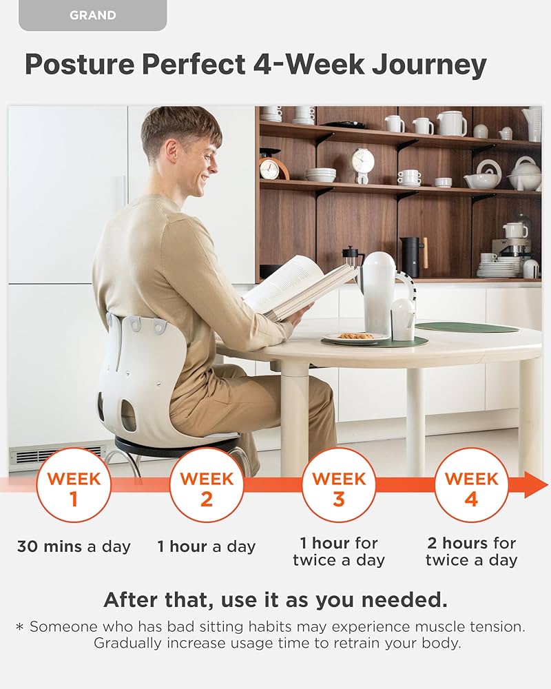 Back Correction Seat