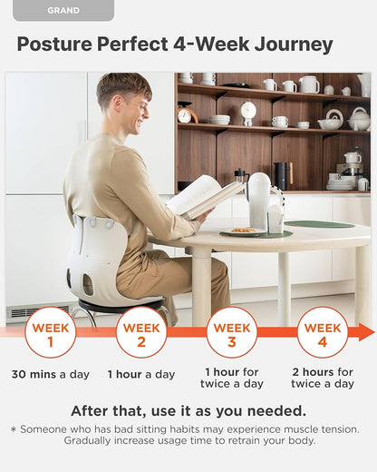 Back Correction Seat
